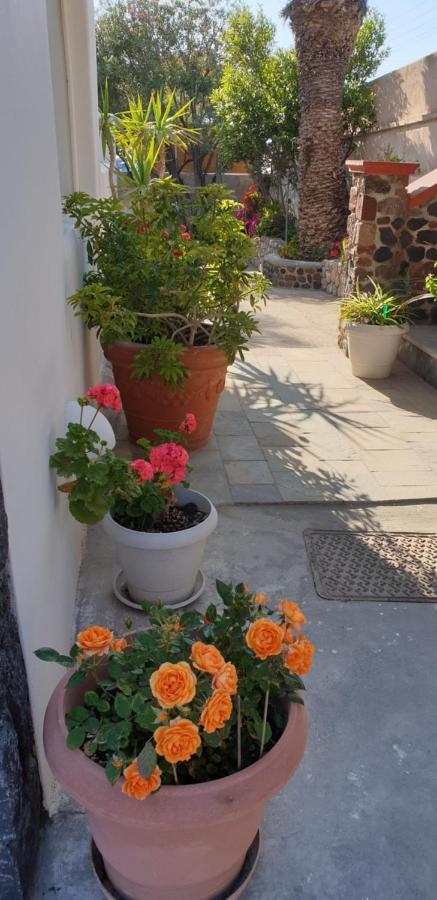 Atlas Guest house 3*