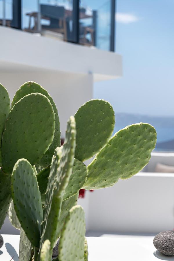 Akra & Hotel Imerovigli (Santorini)