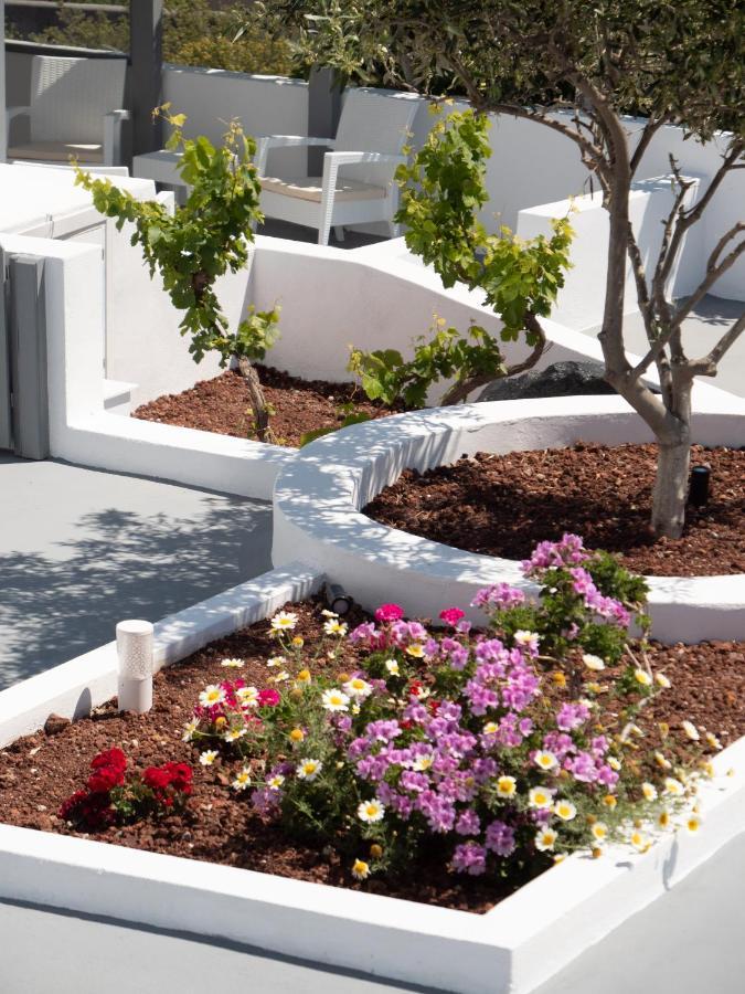 Anthemis Hotel Imerovigli (Santorini)