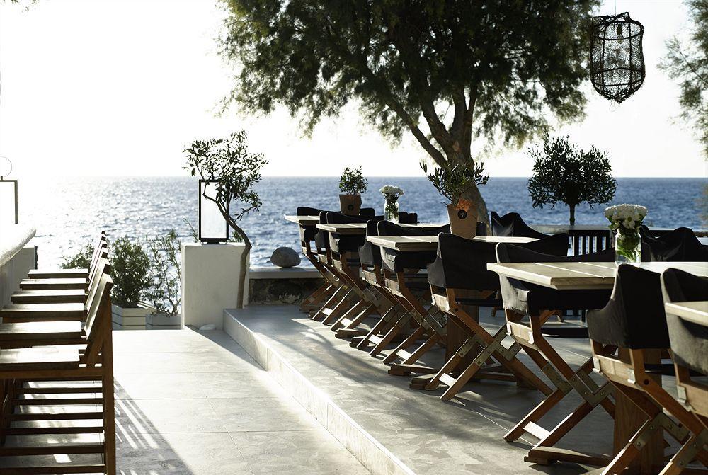 Bellonias 4*