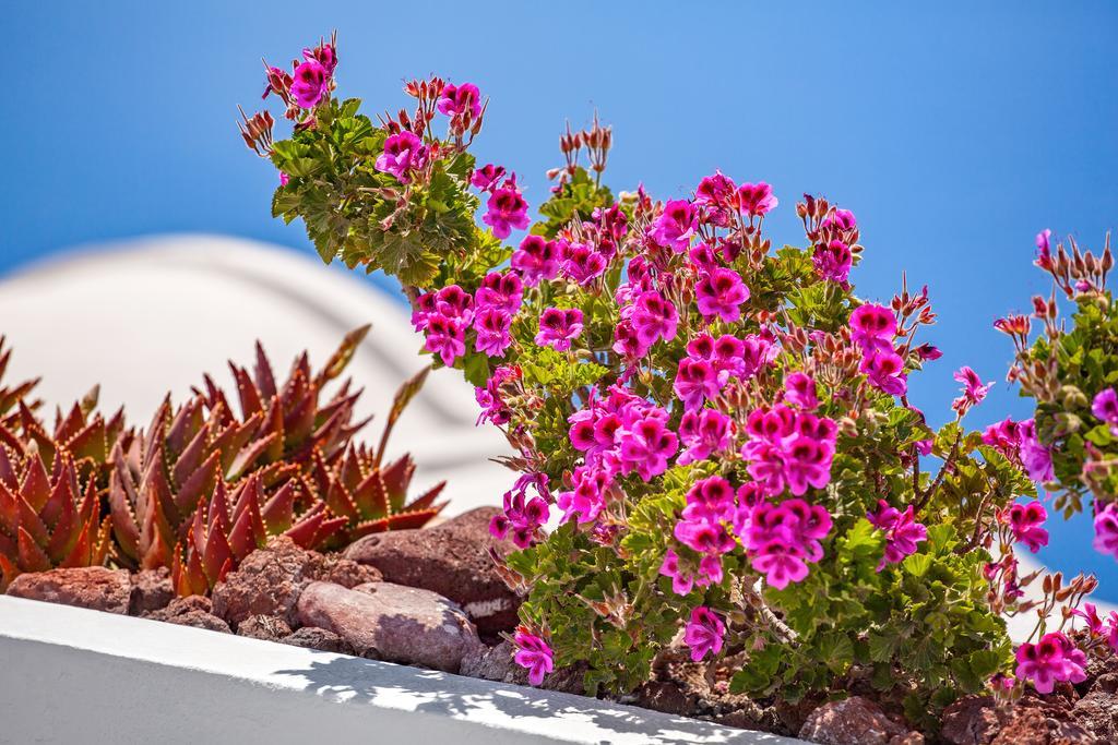 Villa Erossea Imerovigli (Santorini)