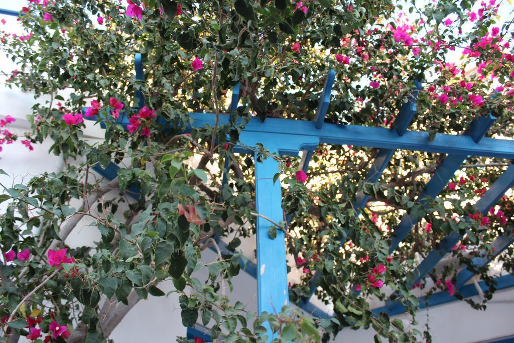 Semprou Guest house