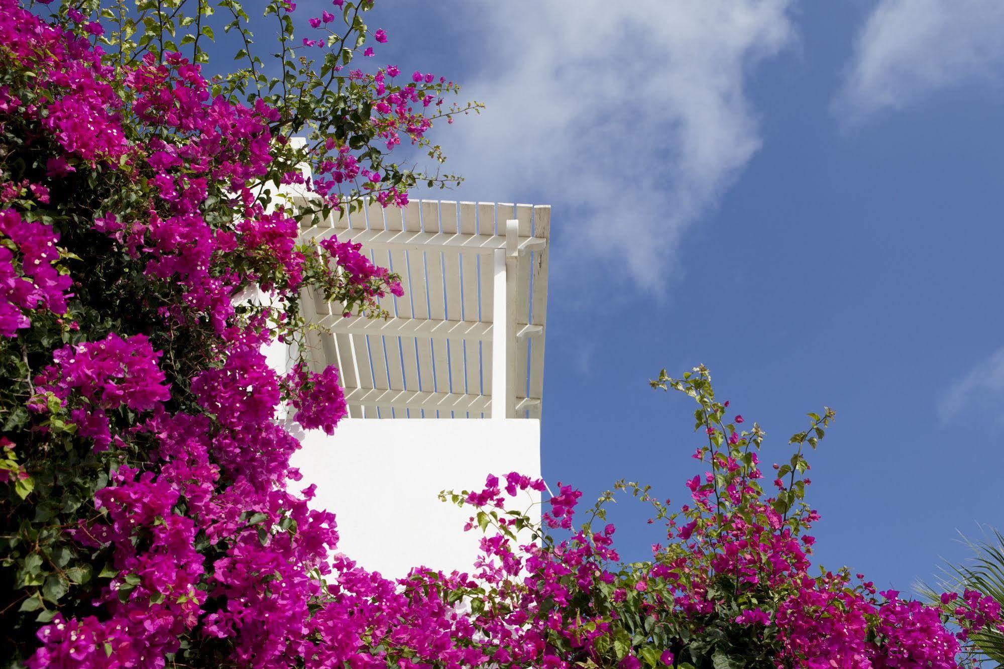 Guest house Meli Meli Imerovigli (Santorini)