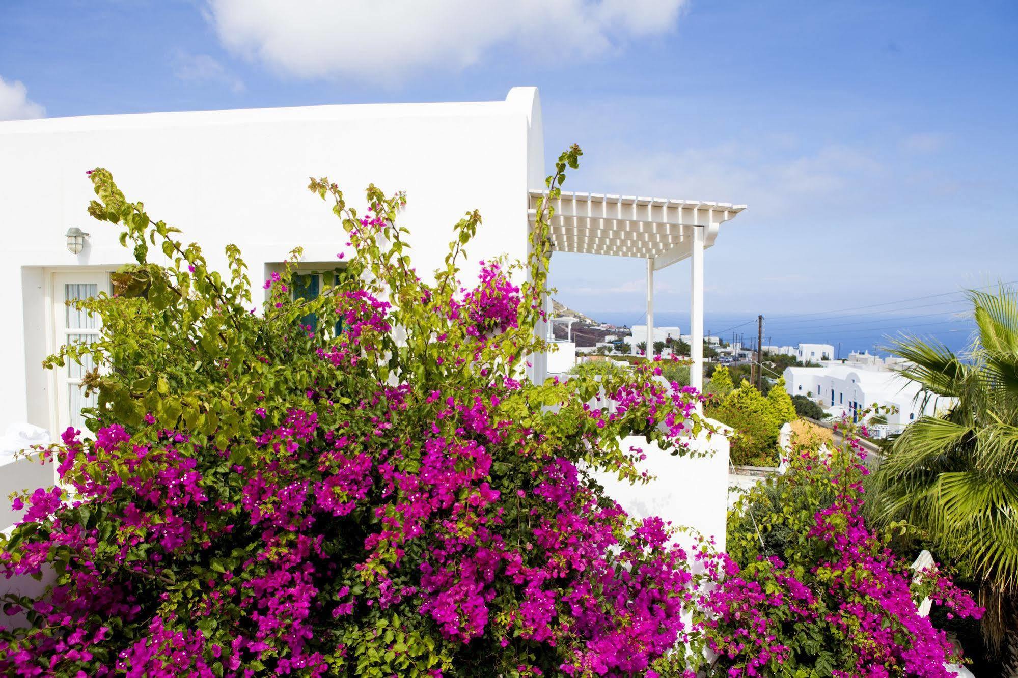 Guest house Meli Meli