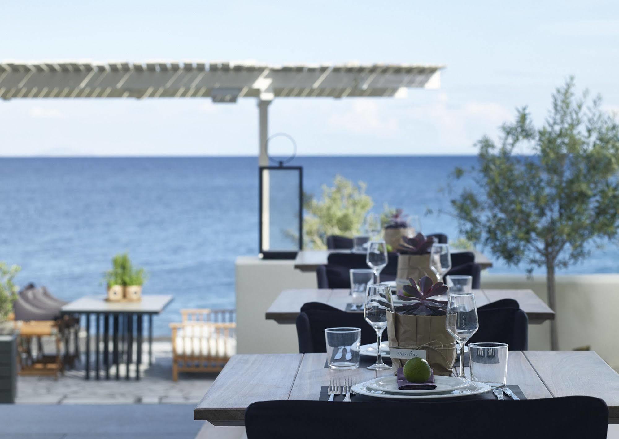 Bellonias 4*