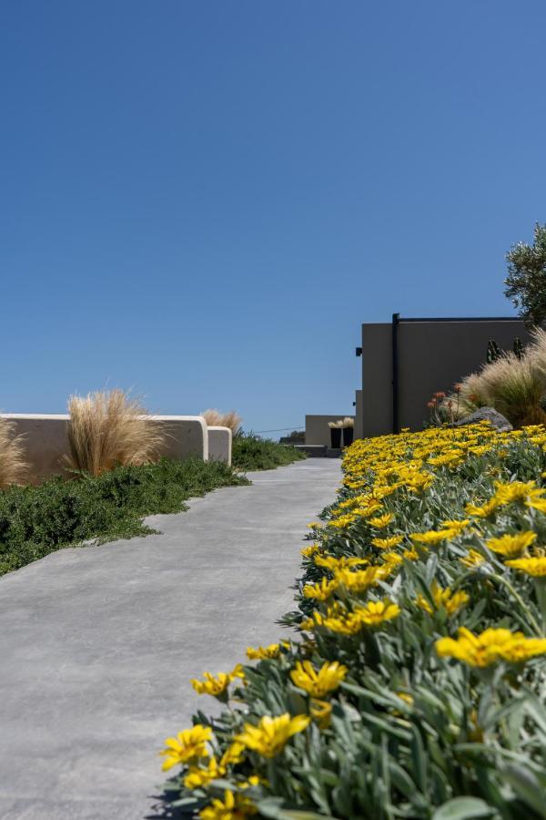 Mardanza Exclusive Apartment