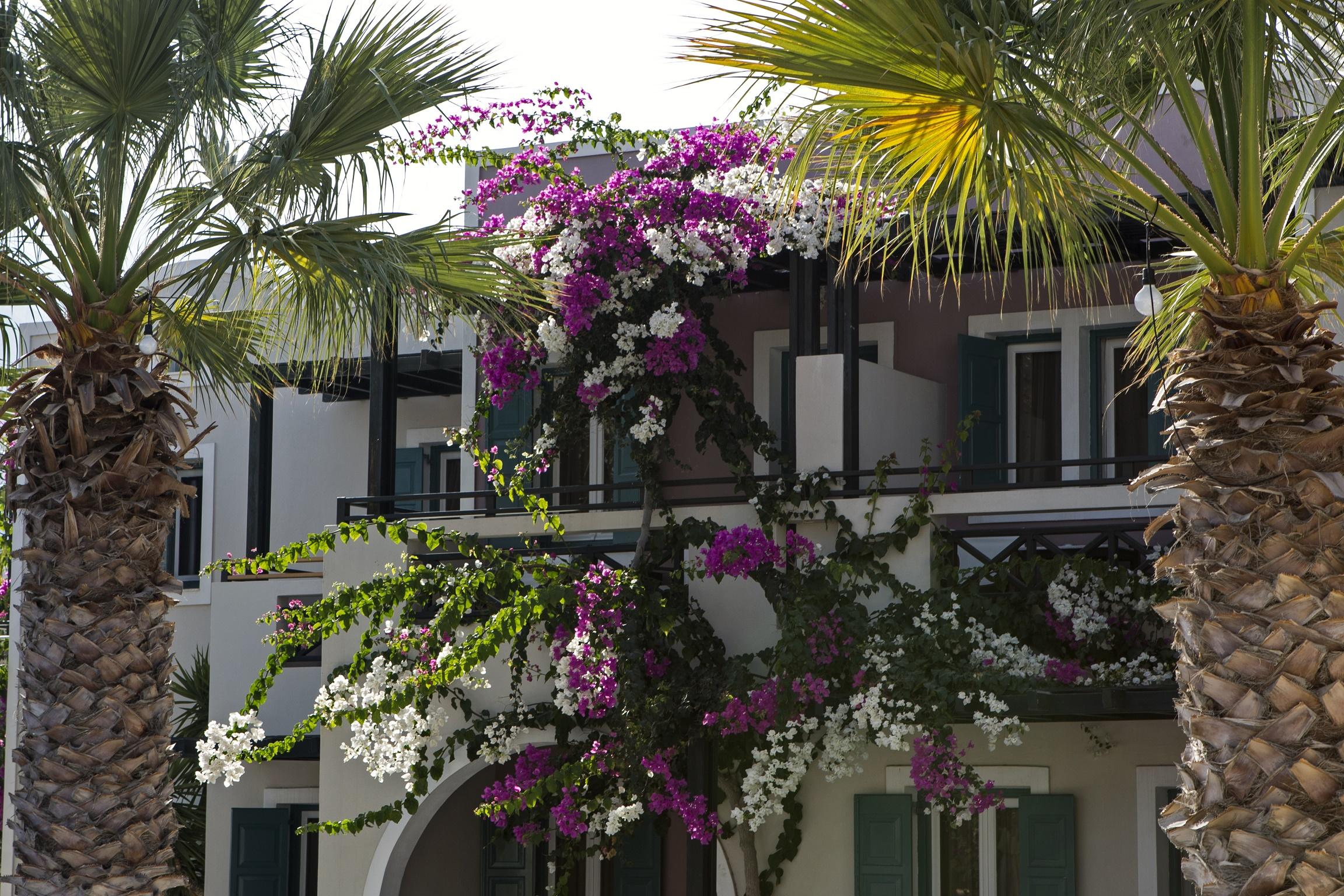 Rose Bay 4*