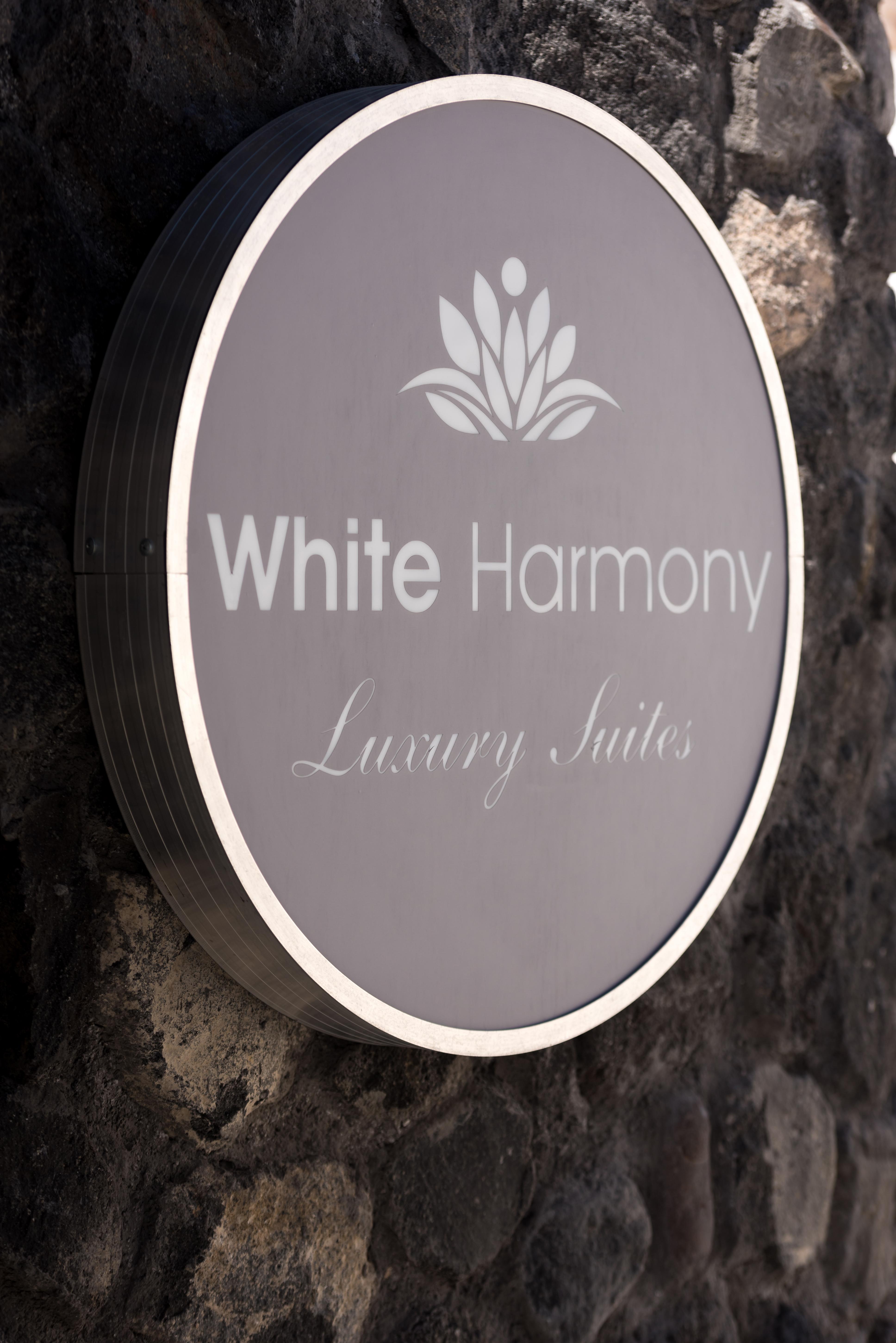 Apartment White Harmony *