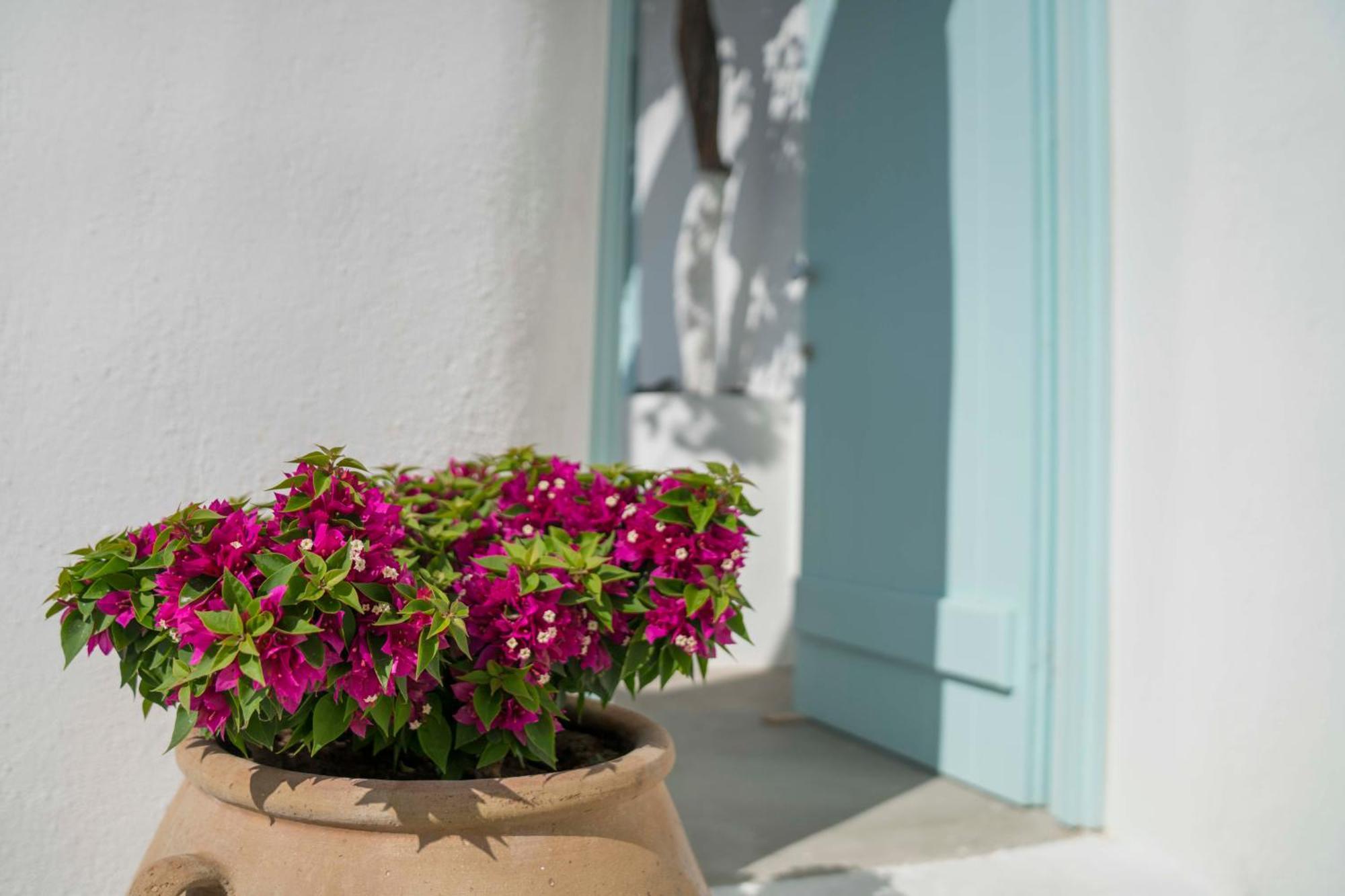 Vima Santorini, Traditional Luxury *