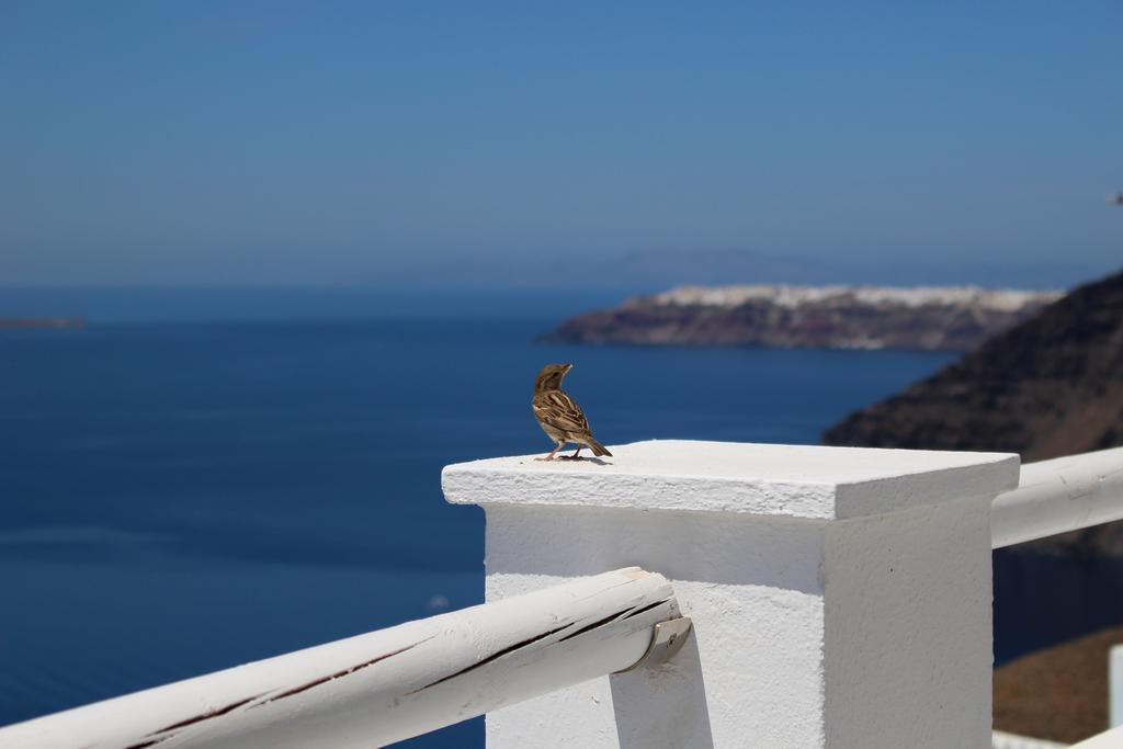 Asma Fira (Santorini)