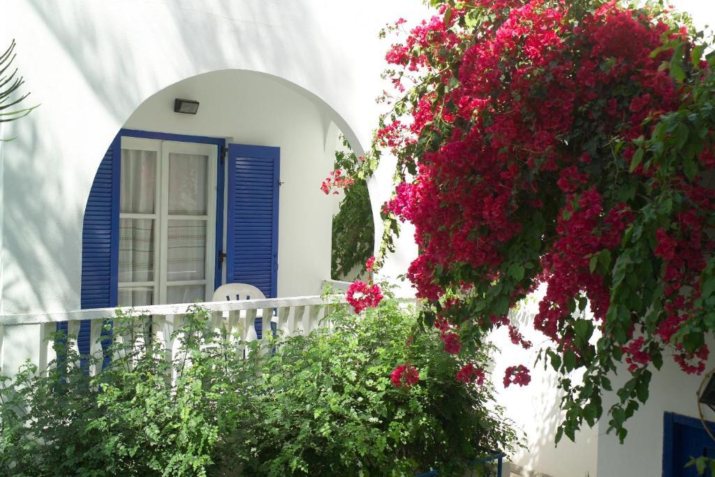 Apartamento Star