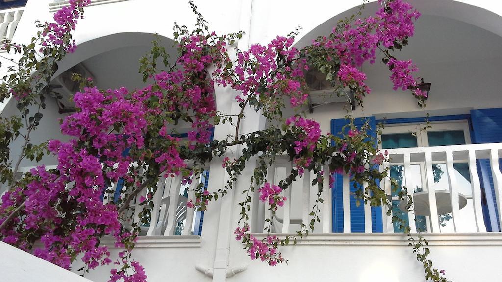 Apartamento Star