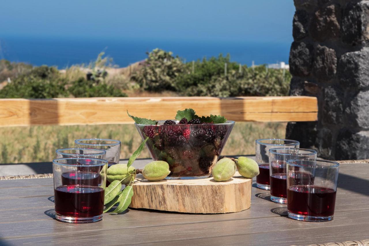 George Farm Land * Karterados (Santorini)