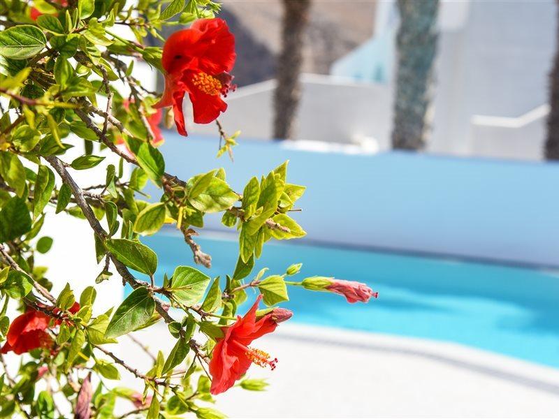 Hotel Kouros Village - Adults Only 4*