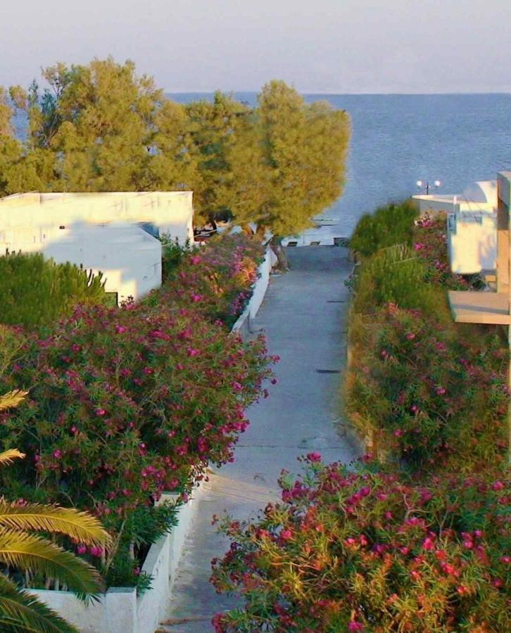 Captain Lazaros Villa: Black With Pool And Sea View *