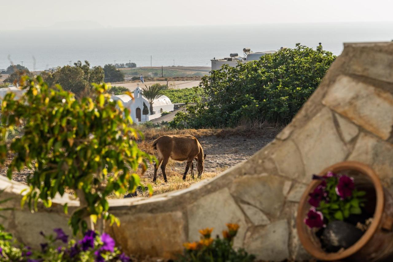 Stavros Aparthotel