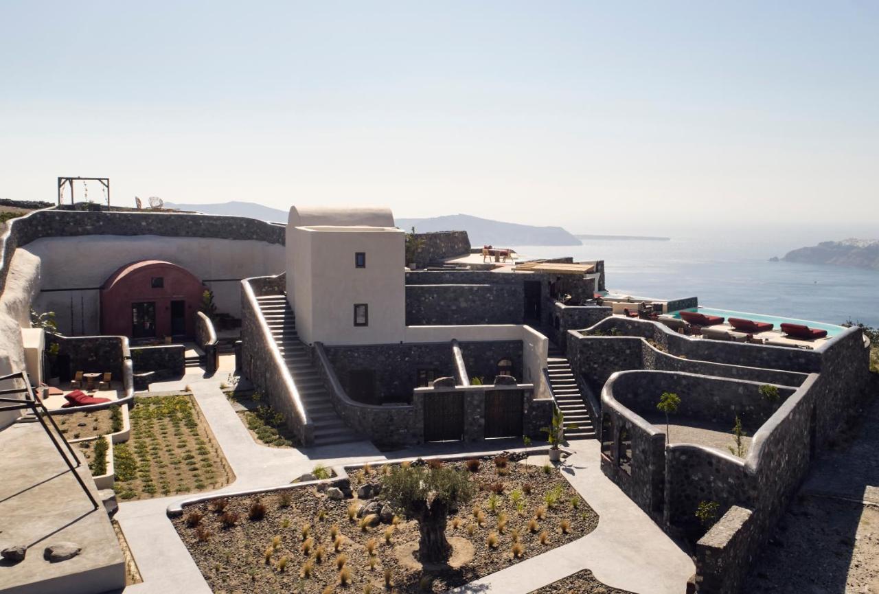 White Pearl Cavalieri (adults Only) 3*