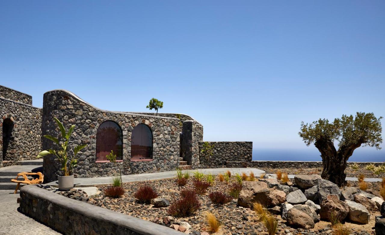White Pearl Cavalieri (adults Only) 3*