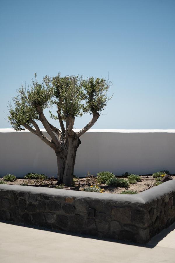 Hotel La Ponta & 4*