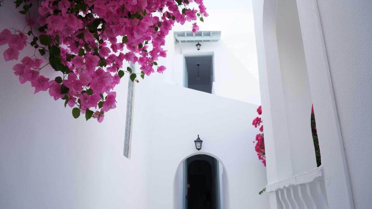 Lefkothea Hotel