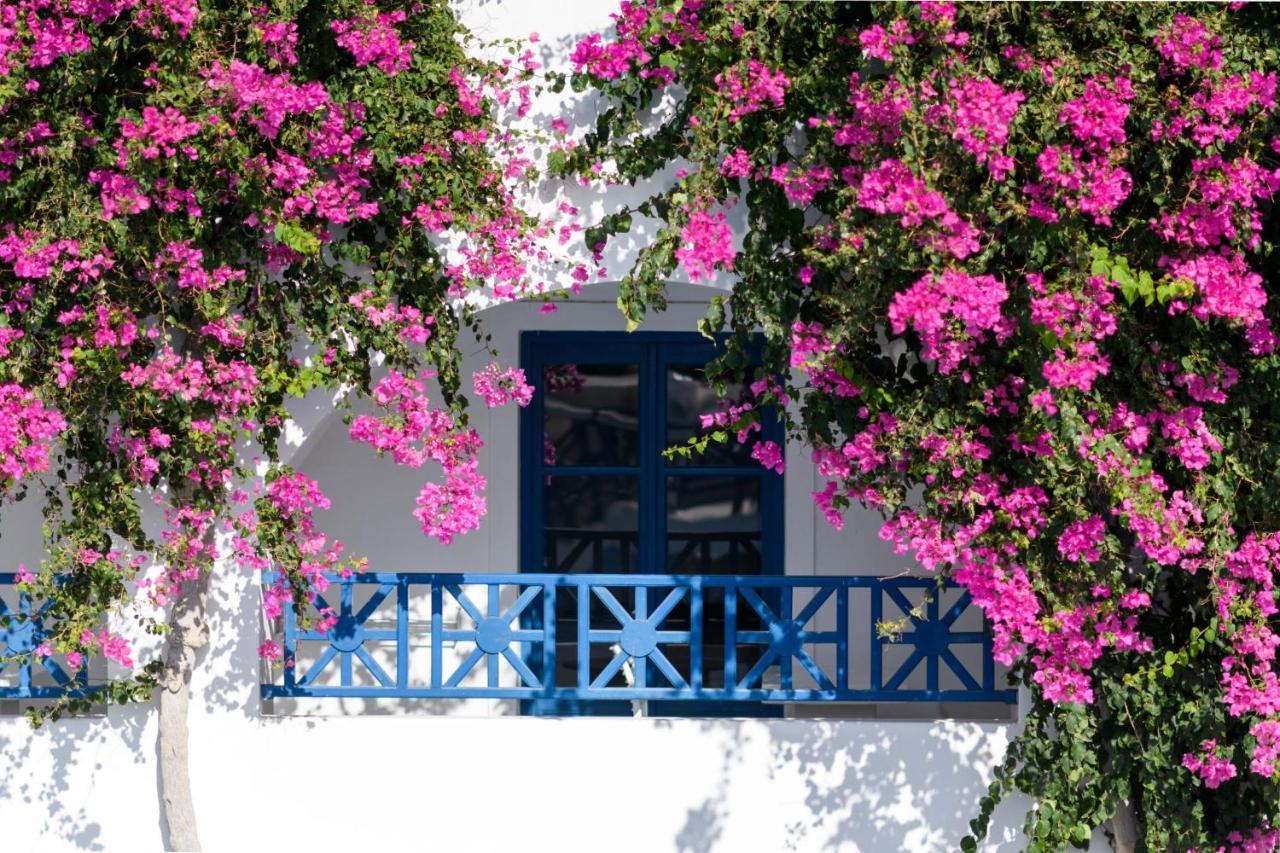 Veggera Perissa (Santorini)