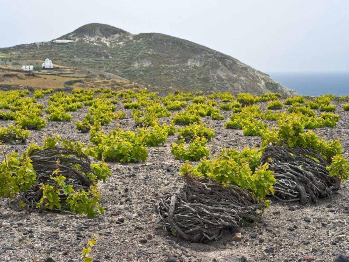 Votrishouse Fira (Santorini)