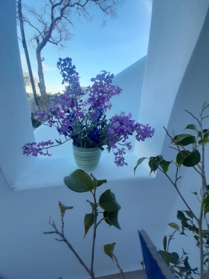 Atlantida Spacious Flat