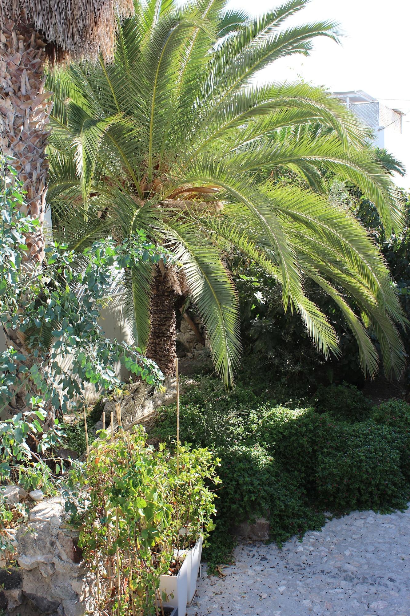 Poseidon Kamari (Santorini)