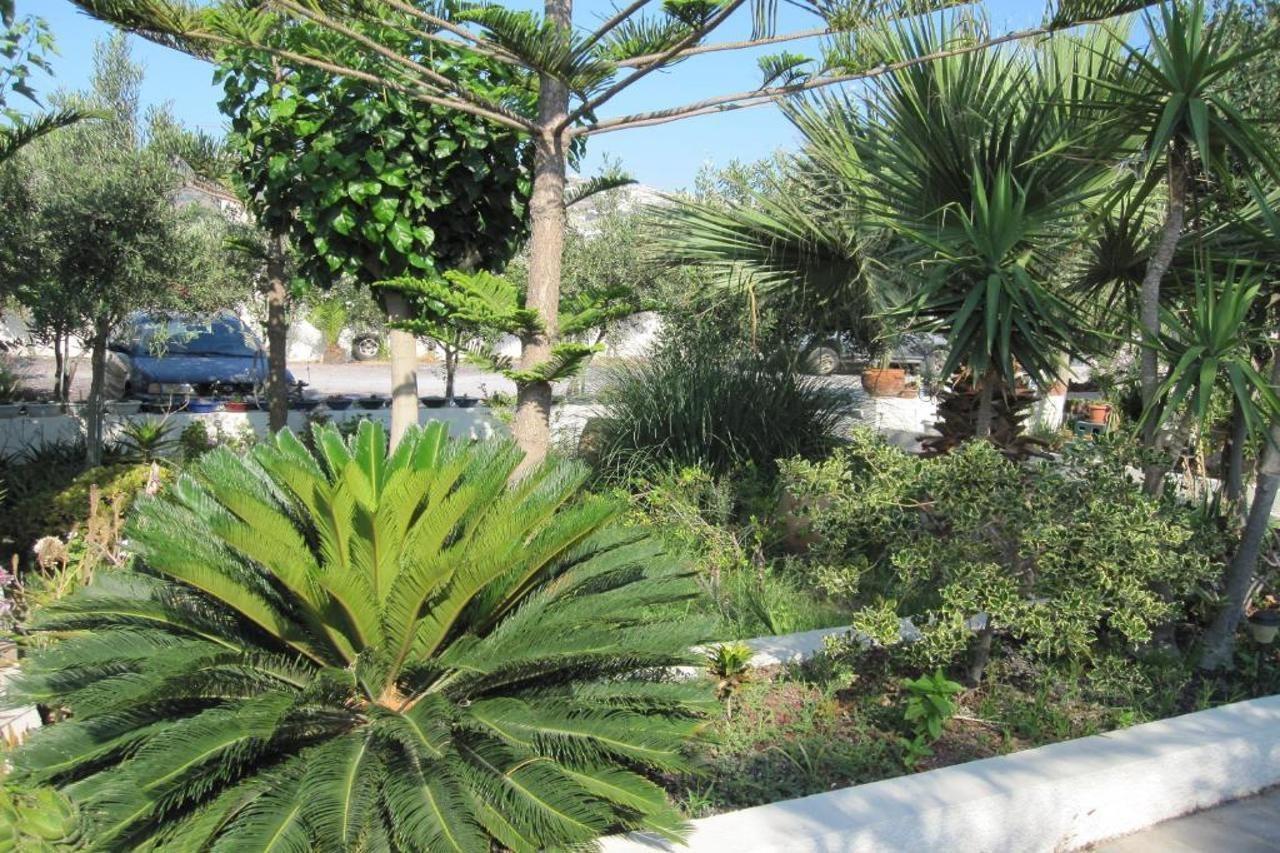 Apartment Villa Nikos Karamolegkos Kamari
