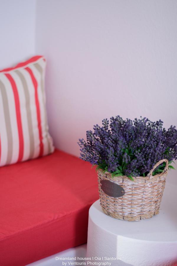 Apartment Dreamland ηouses Oia (Santorini)