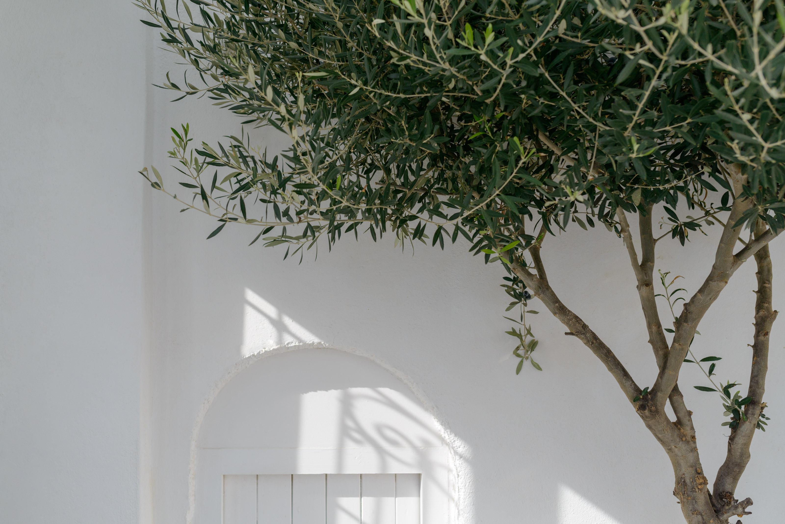 Senses 4* Imerovigli (Santorini)