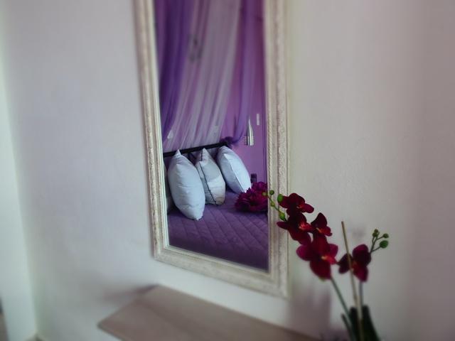 Villa Elkaza *