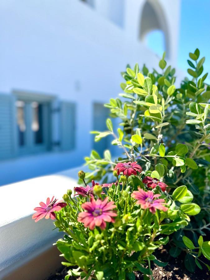Santana Perivolos (Santorini)