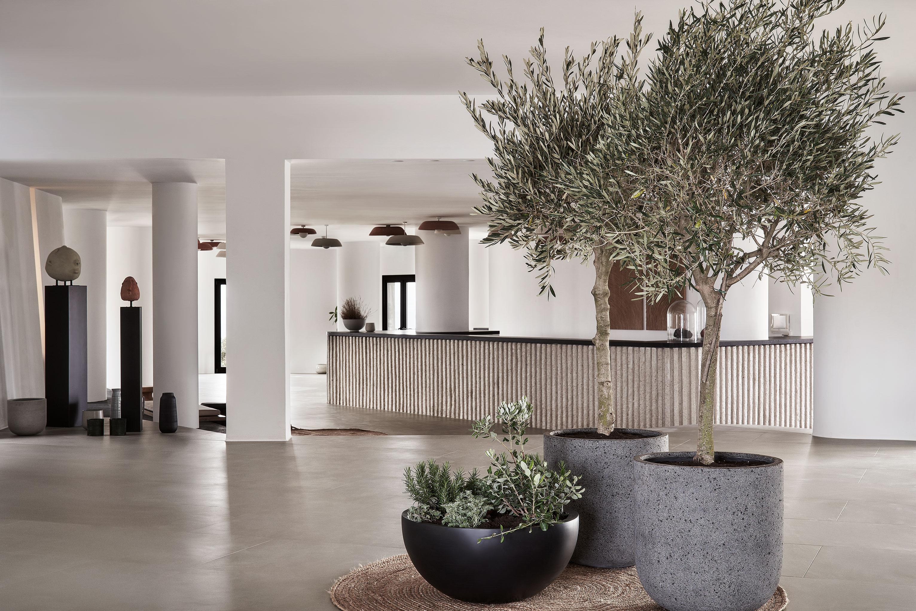 Orama & 5* Fira (Santorini)
