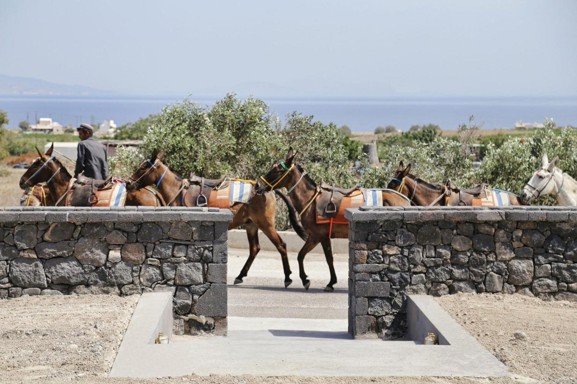 Villa Vhs Santorini Nykteri Villa Finikia