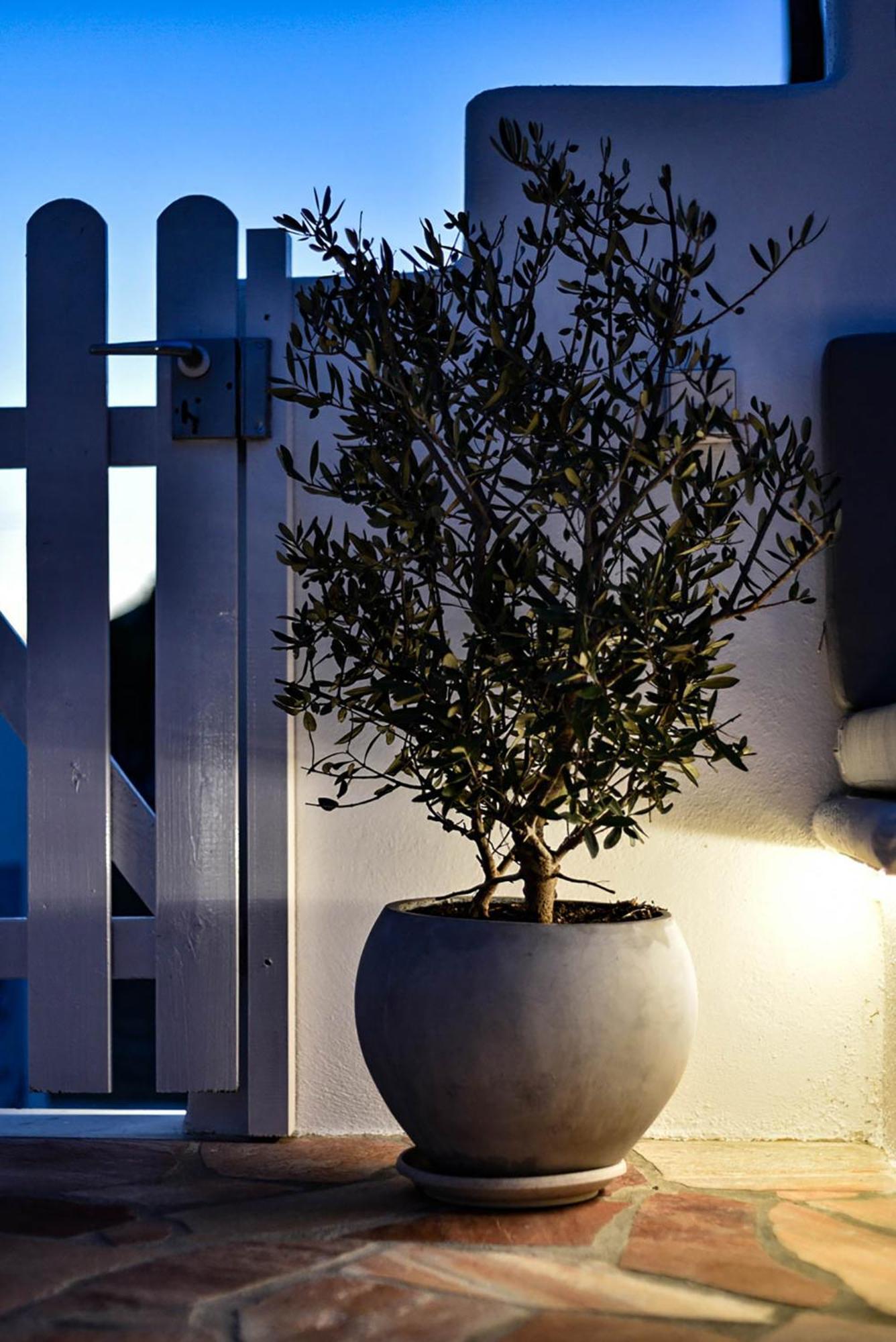 Dp Homes Santorini Perissa (Santorini)