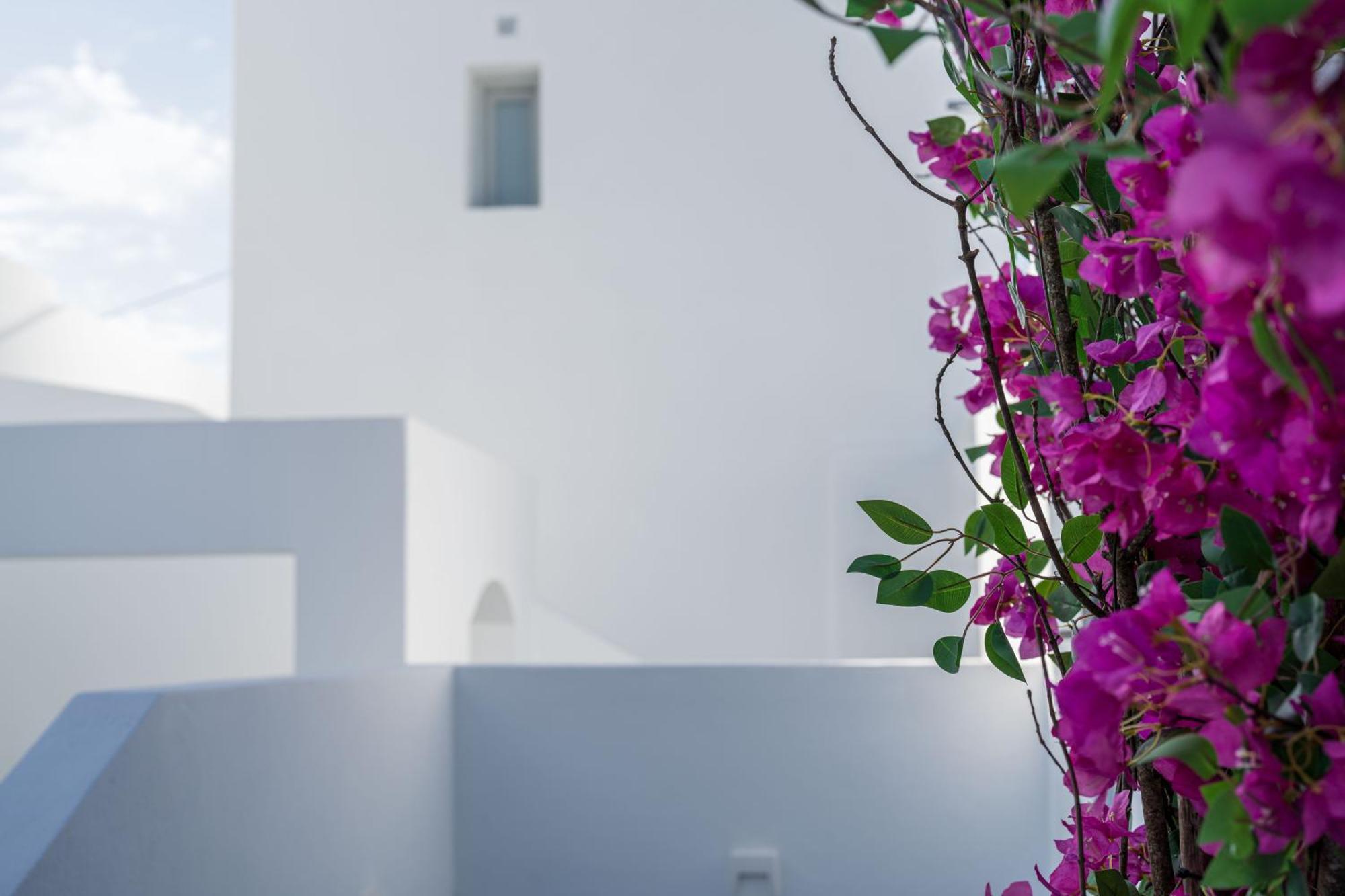 Hotel Cycladic & Fira (Santorini)
