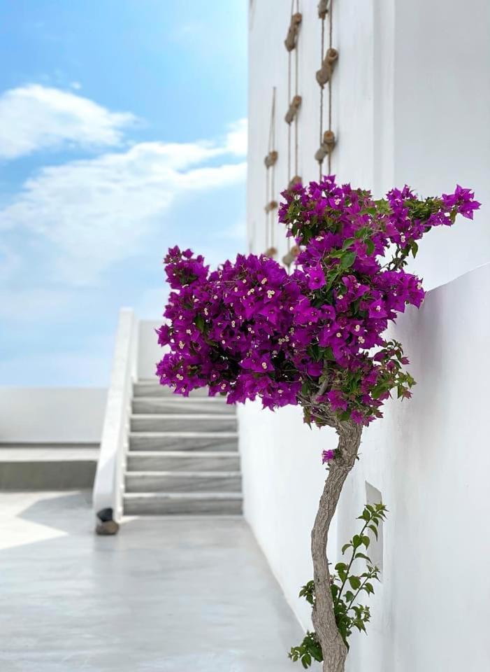 Hermoso Luxury Hotel Monolithos (Santorini)