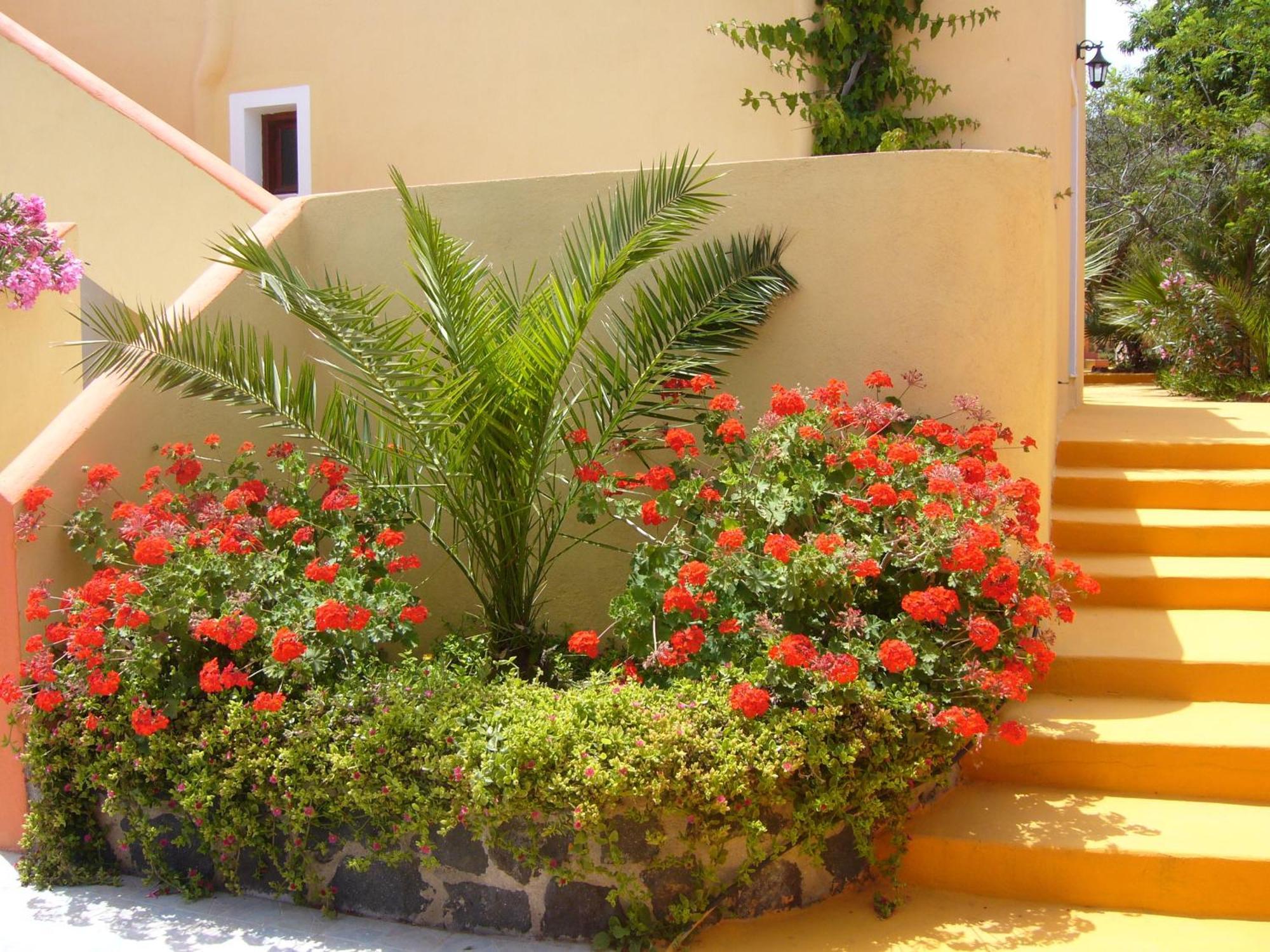 Aparthotel Soulis