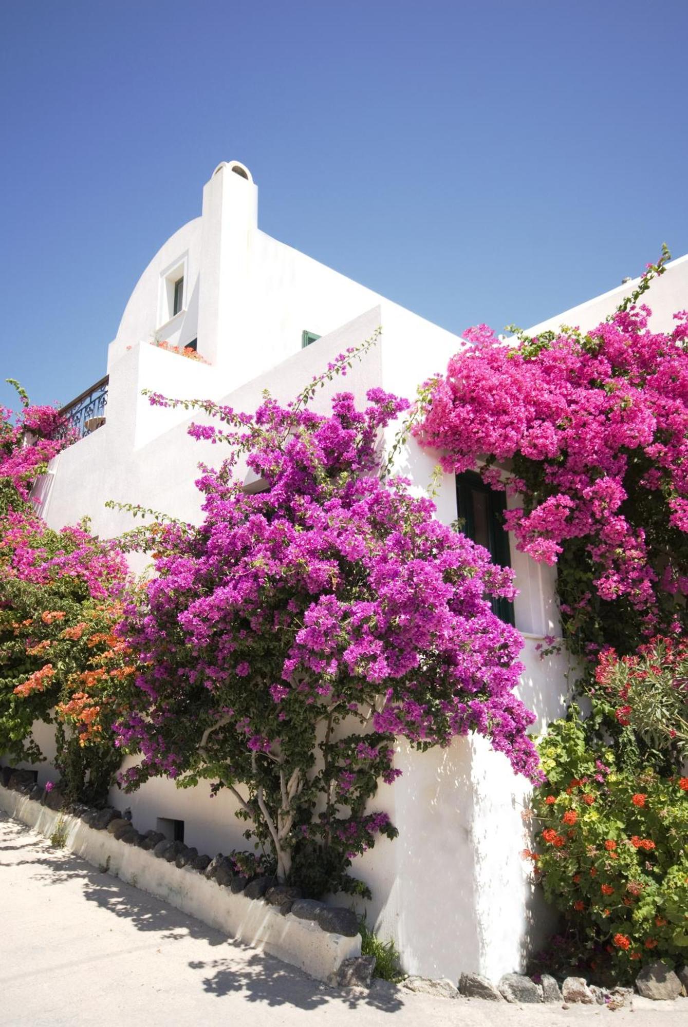 Guest house Costa Marina Fira (Santorini)
