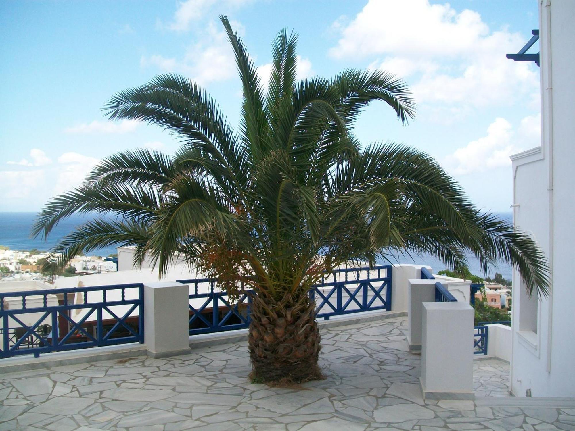 Aegean View