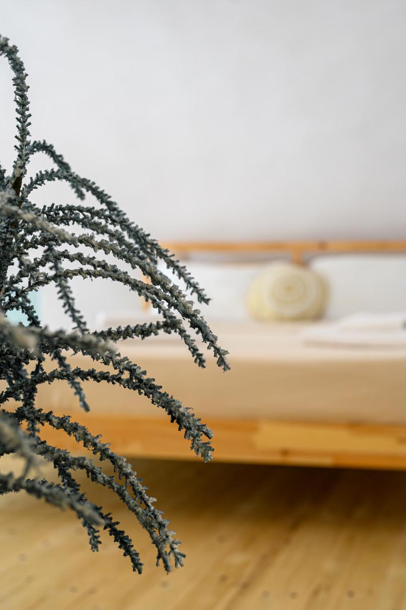 Pousada Angeleve With Private Jacuzzi *