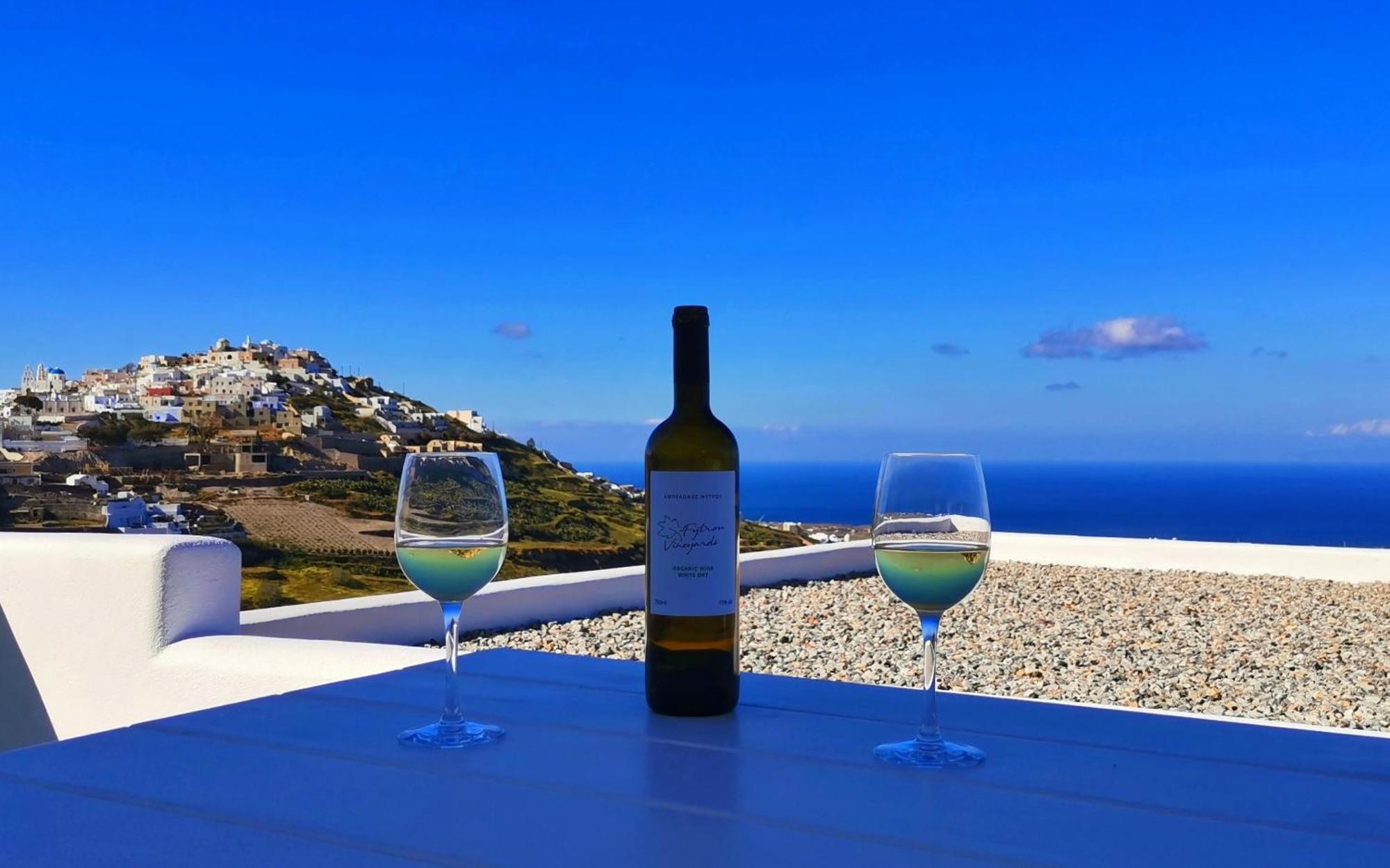 Apartment Martynou View