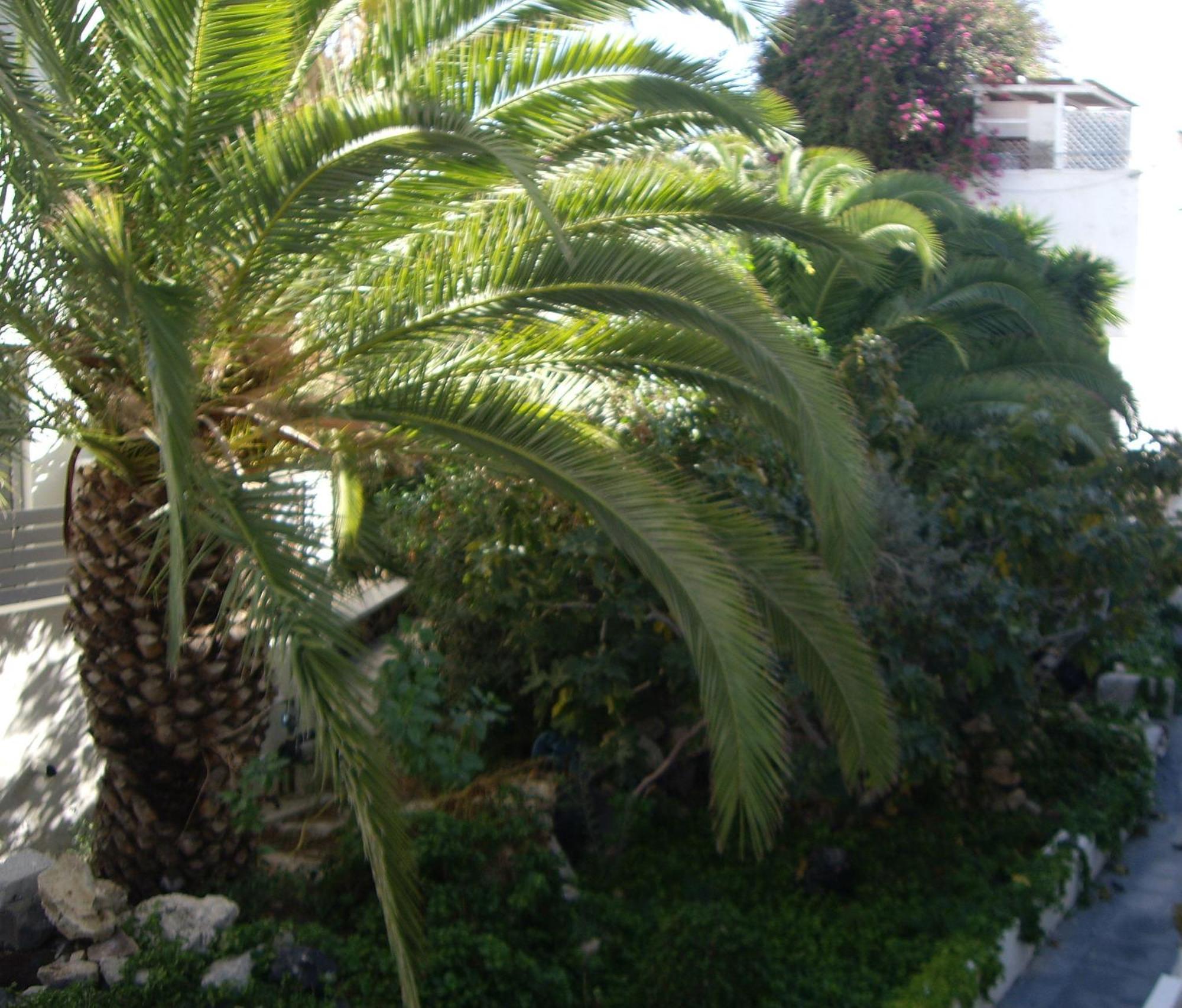 Poseidon 2* Kamari (Santorini)