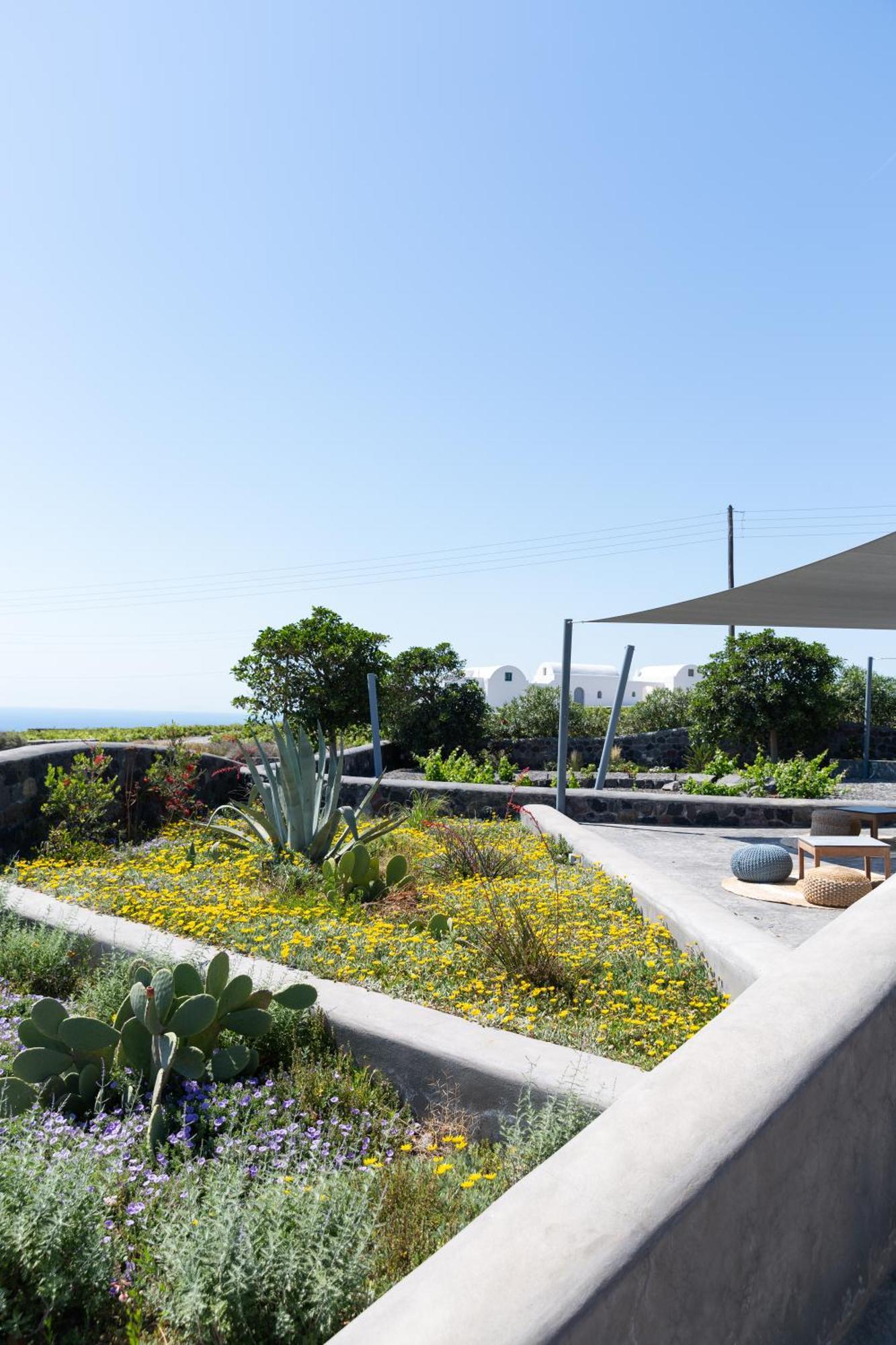 Resort Soil Of Sun Luxury