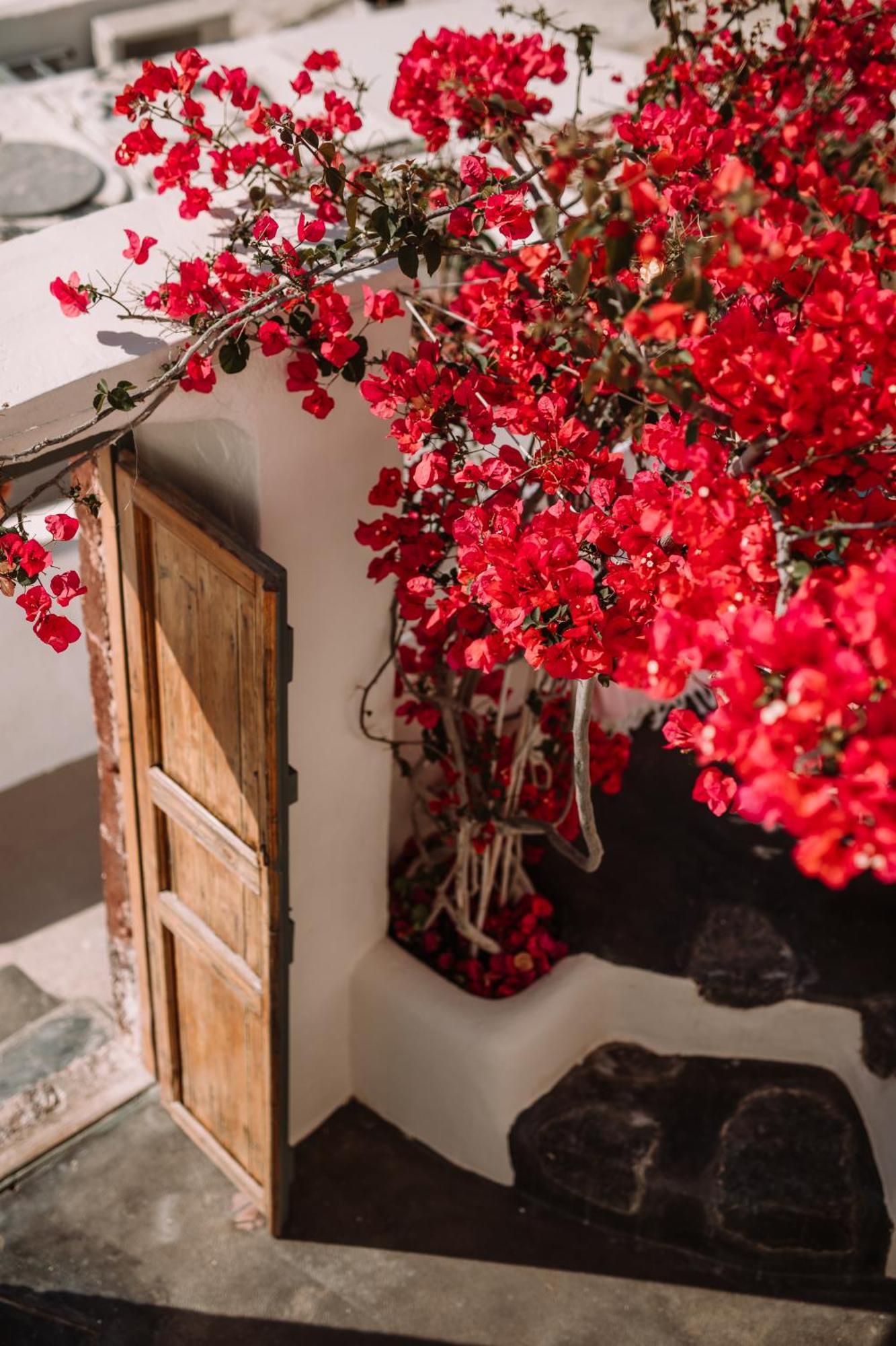 Spitia Santorini Collection
