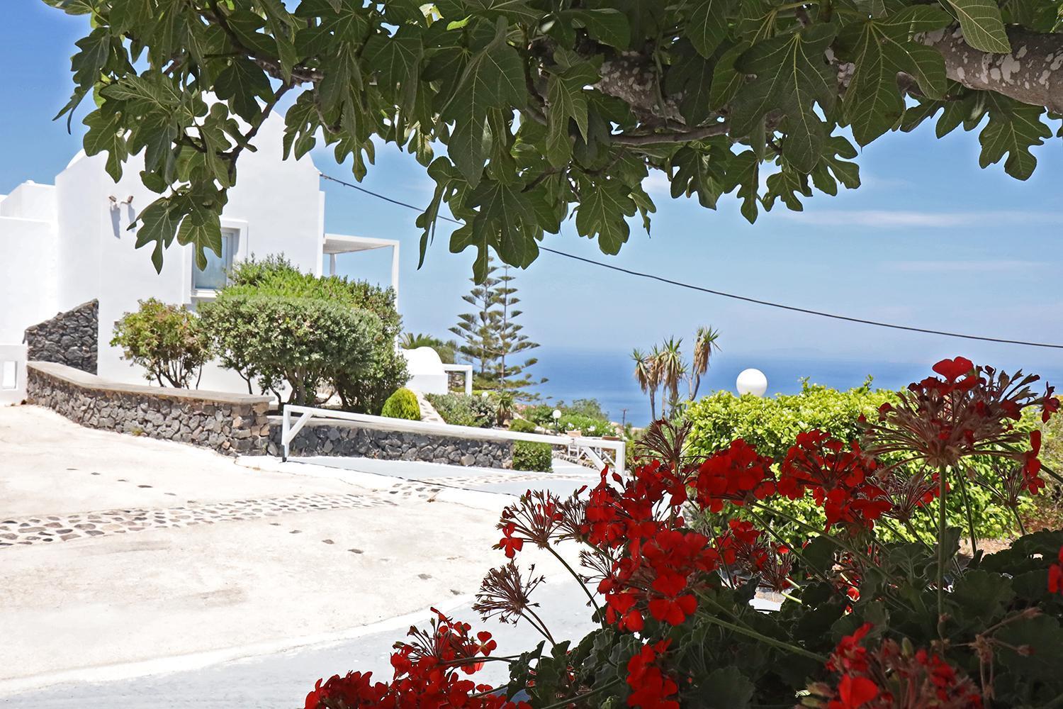 Phaos Santorini Imerovigli (Santorini)