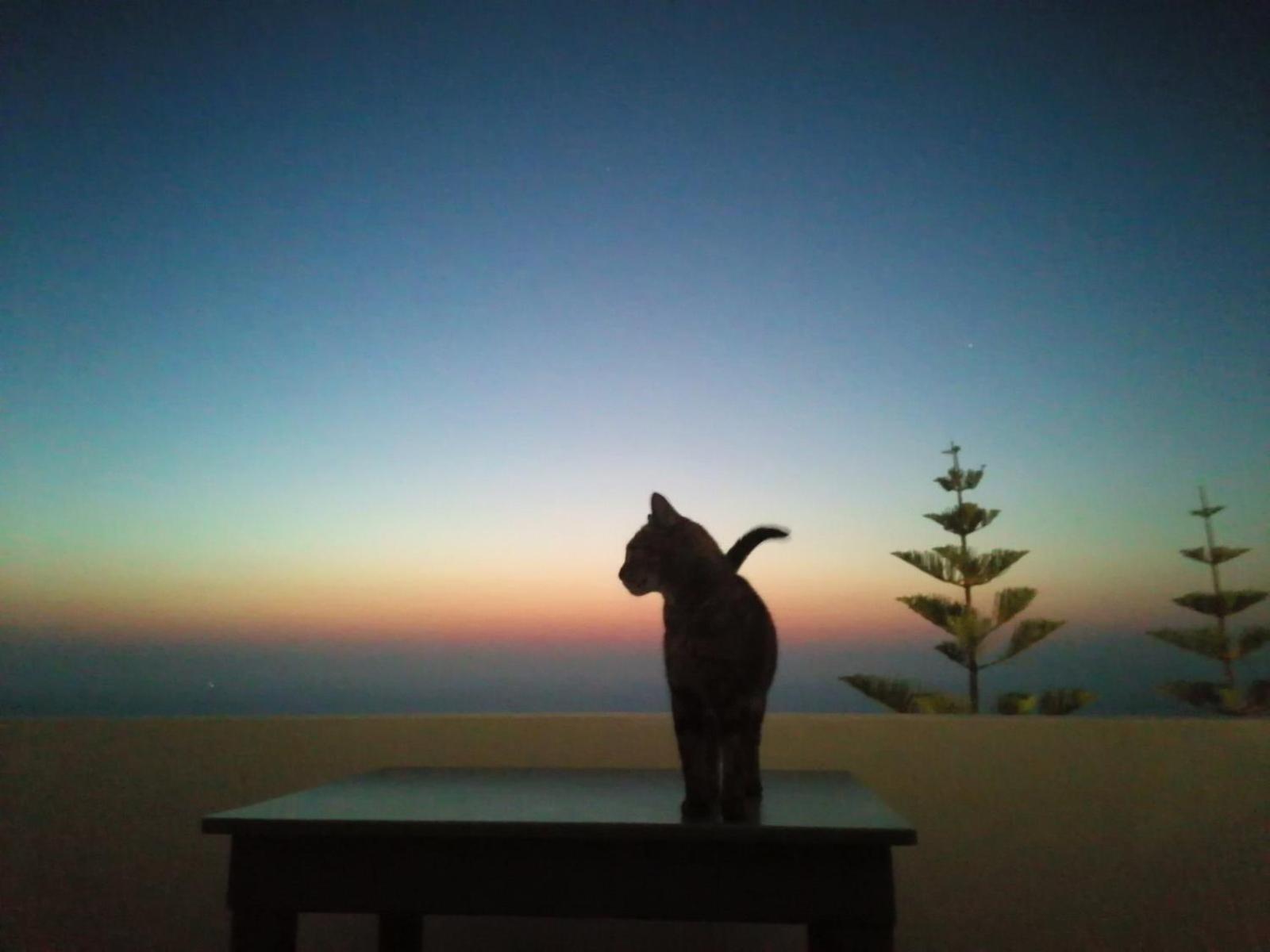 Phaos Santorini Hotel