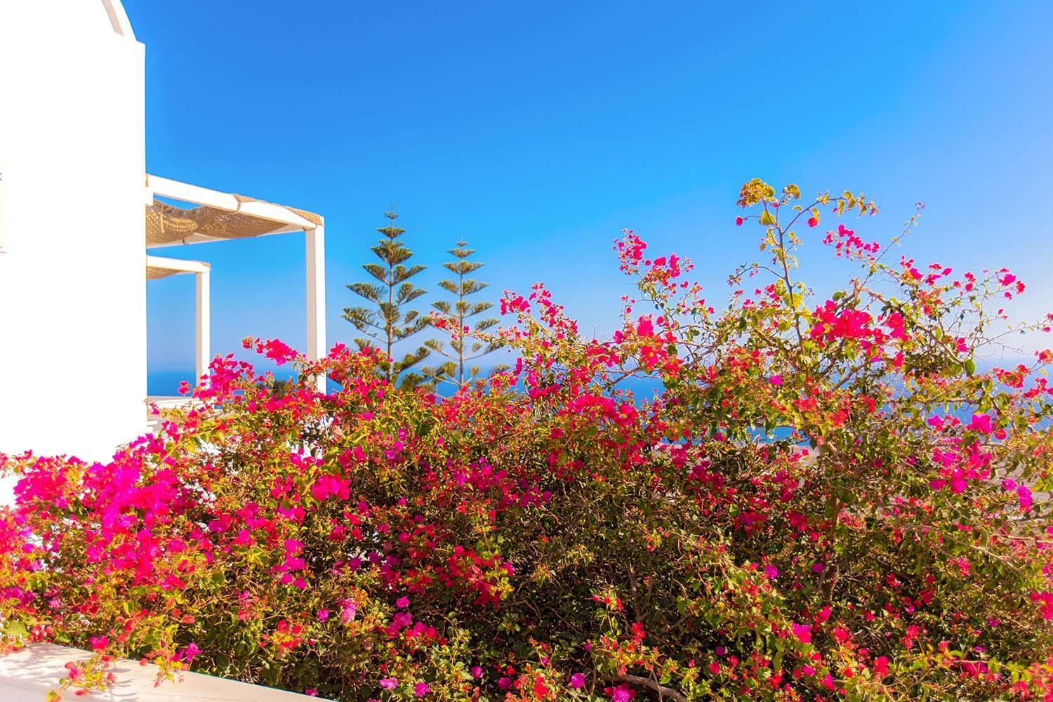 Phaos Santorini Hotel 3*