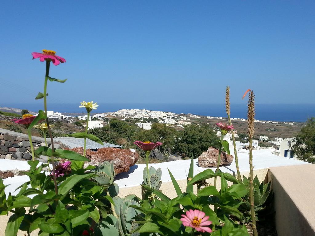 Apartment Alonistra Oia Foinikia (Santorini)